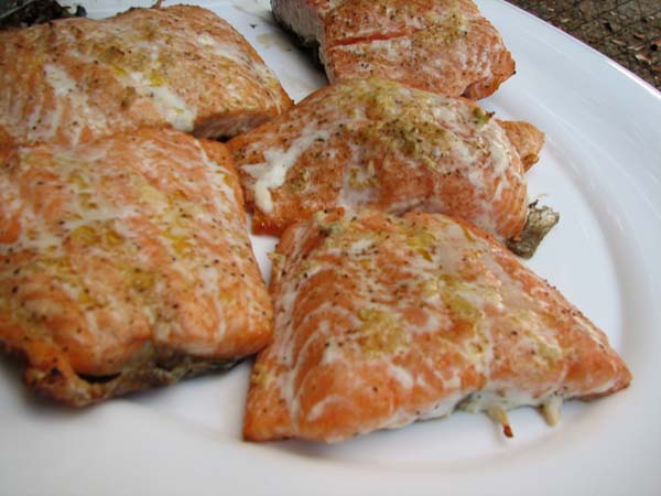 Grilled Salmon - Plated