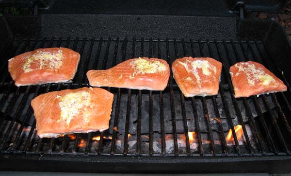Grilled Salmon - Grill